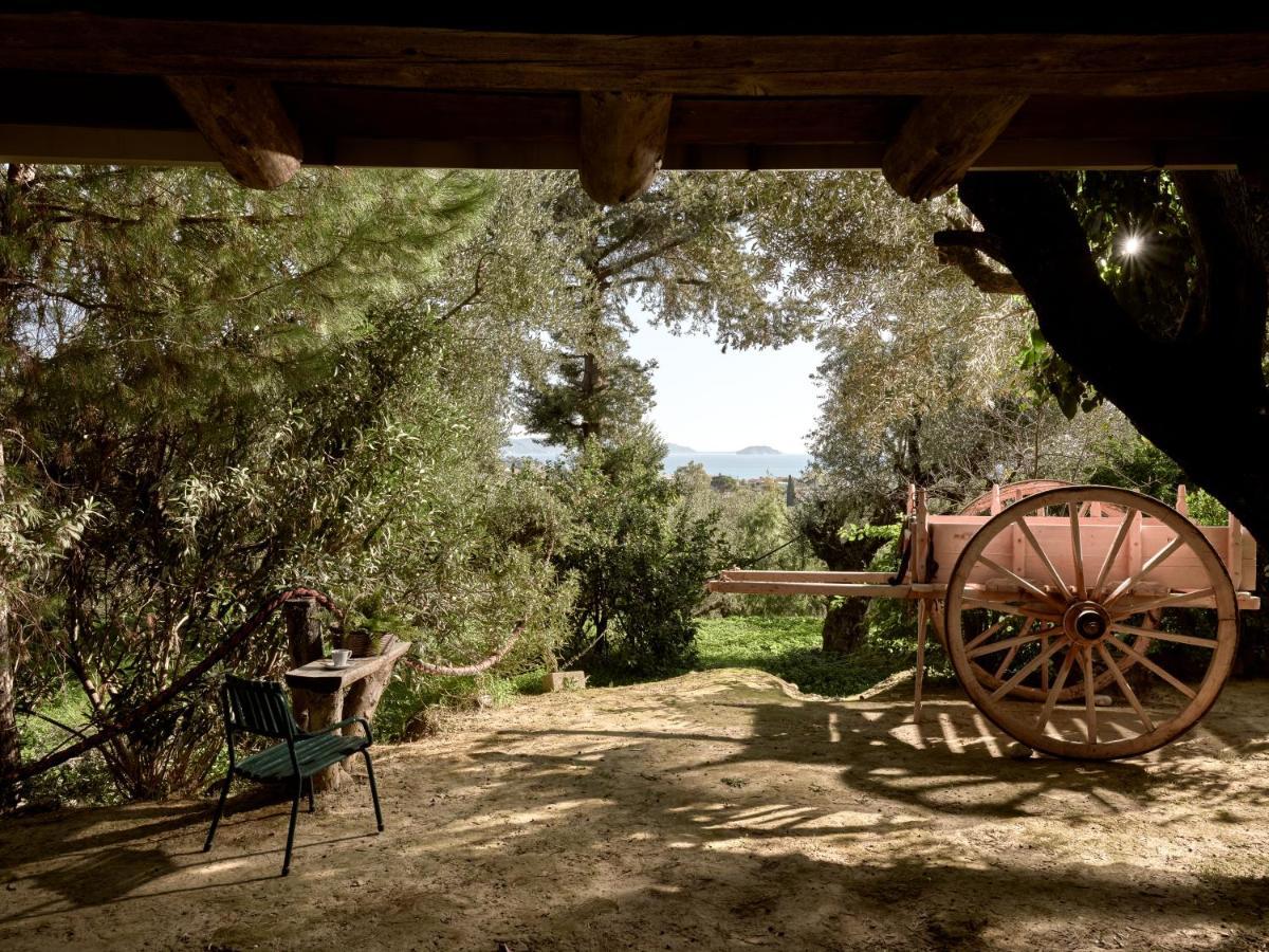 Vafias Villa - Tranquil Location, Ideal For Large Groups, By Zantewize Lithakia  Exterior foto